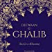 Deewaan-e-Ghalib : Sariir-e-Khaama (HB) [Hardcover] Najeeb Jung